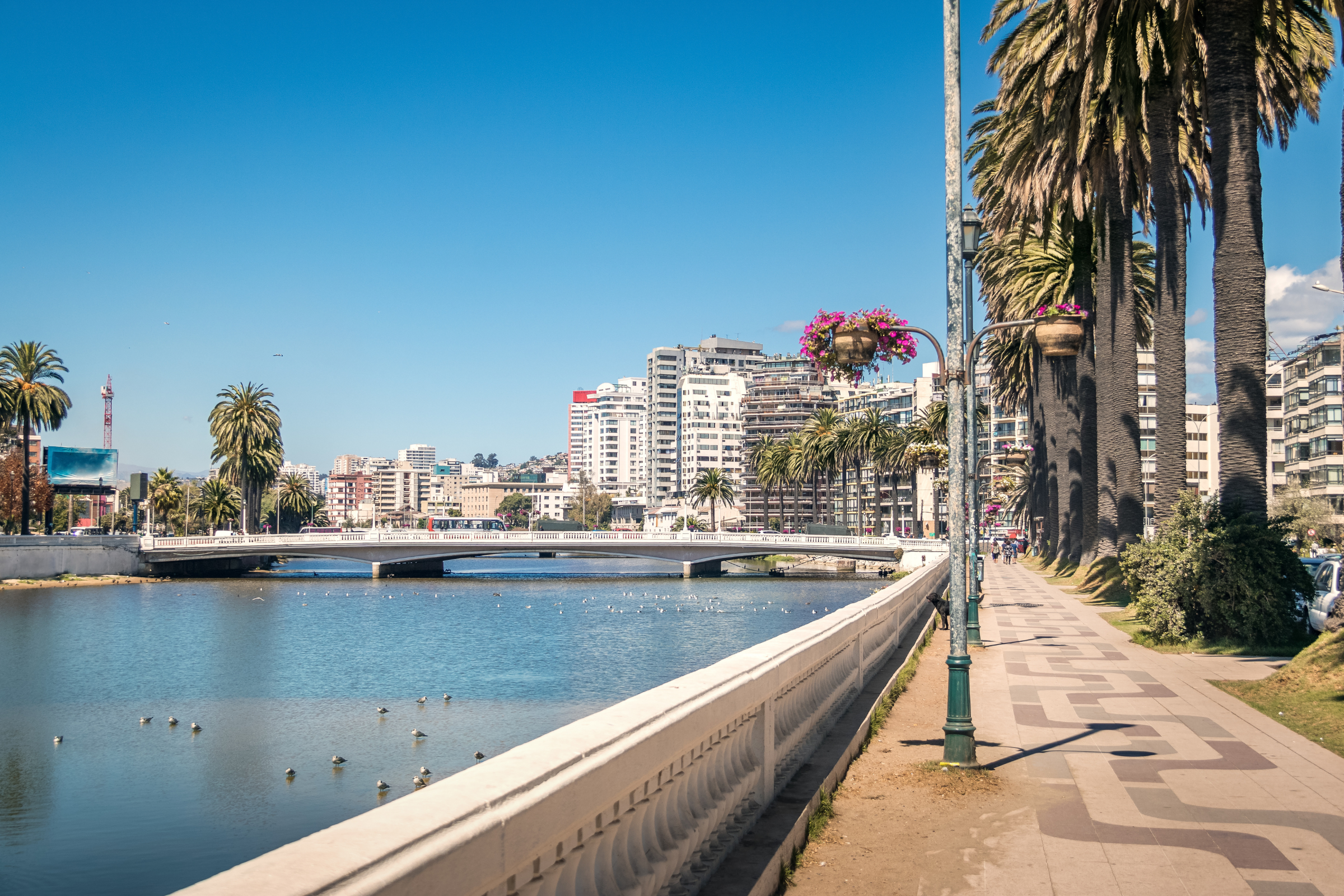 estero las montanas (2).webp